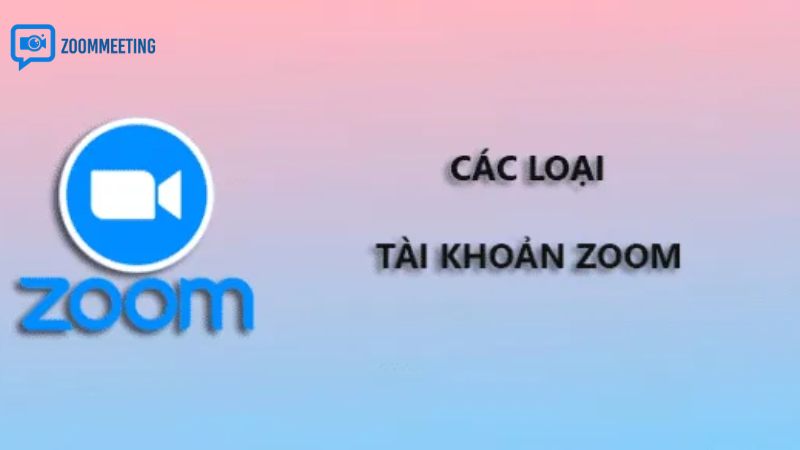 Phân biệt các loại zoom account để chọn đúng nhu cầu